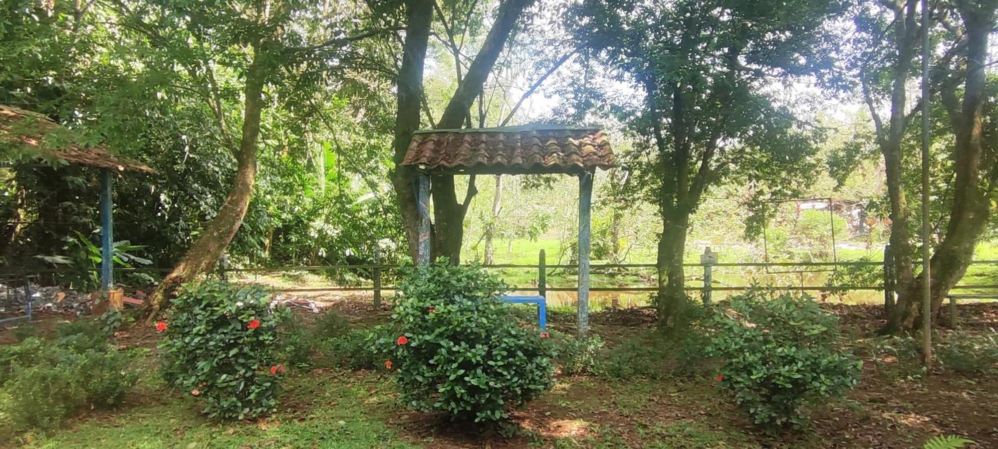 Hotel Maguey Tigre  Dış mekan fotoğraf